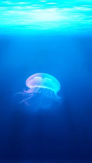 冲哥黑料cg1截图2